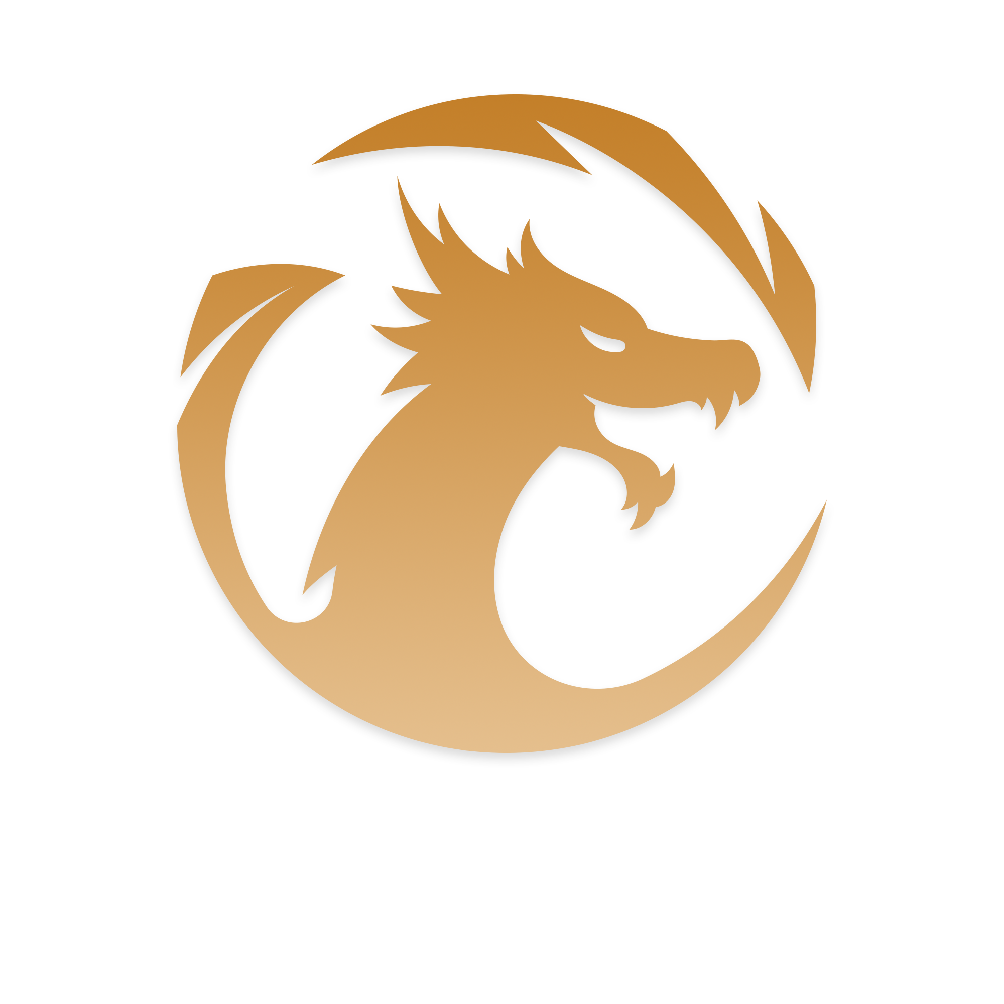 Dragon FSM logó